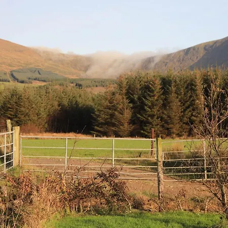 דירה Tigin דינגל