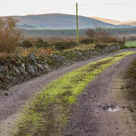 Tigin アパート *