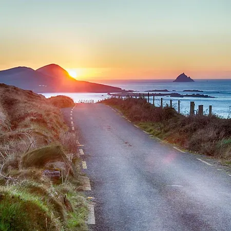 Tigin * Dingle