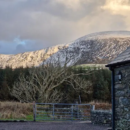 דירה Tigin דינגל